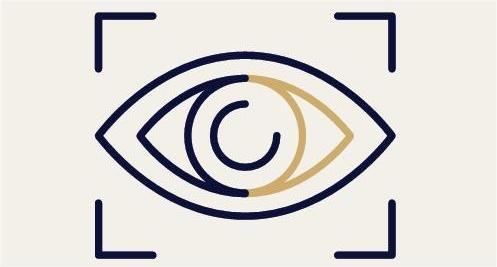 The Momentum Mastery Vault